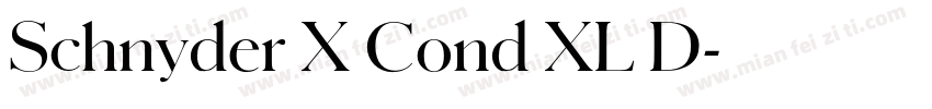 Schnyder X Cond XL D字体转换